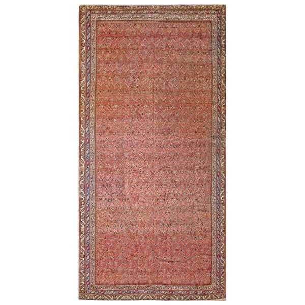 Early 20th Century Persian Seraband Gallery Carpet