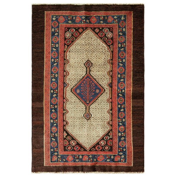 19th Century N.W. Persian Bakshaiesh Rug