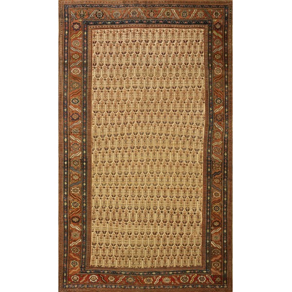 19th Century N.W. Persian Bakshaiesh Carpet