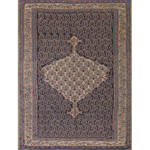 19th Century W. Persian Senneh Paisley Kilim 