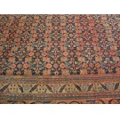 Mid 19th Century N.E. Persian Khorassan Moud Carpet