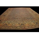 Mid 19th Century N.E. Persian Khorassan Moud Carpet