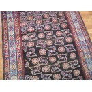 Early 20th Century W. Persian Kurdish Rug