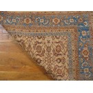 Early 20th Century N. Indian Agra Carpet