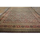 19th Century N. Indian Agra Carpet