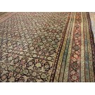 19th Century N. Indian Agra Carpet