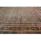 19th Century N. Indian Agra Carpet