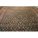 19th Century N. Indian Agra Carpet