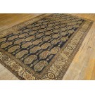 Mid 19th Century N.W. Persian Carpet 