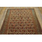 19th Century Persian Mishan Malayer Paisley Carpet 