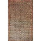 19th Century W. Persian Senneh Carpet 