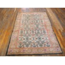 Early 20th Century N. Indian Agra Cotton Carpet