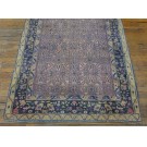 Early 20th  Century Indian Cotton Agra Carpet 