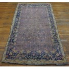 Early 20th  Century Indian Cotton Agra Carpet 