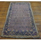 Early 20th  Century Indian Cotton Agra Carpet 