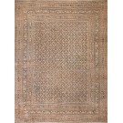 19th Century N.E. Persian Khorassan Moud Carpet 