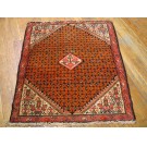 Malayer #21394