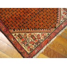 Malayer #21394