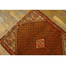 Malayer #21394