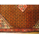 Malayer #21394