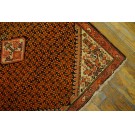 Malayer #21394