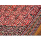 Kilim - Senneh #21430