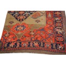 Bijar Rug