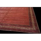 Early 20th Century Indian Lahore Paisley Carpet 