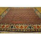 19th Century W. Persian Senneh Carpet