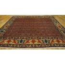 19th Century W. Persian Senneh Carpet