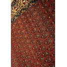 Early 20th Century Persian Seraband Carpet