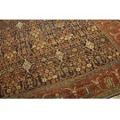 Late 19th Century Persian Sarouk Farahan Carpet