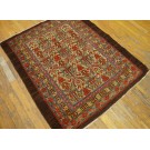 19th Century Persian Serab Rug 