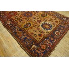 Late 19th Century Persian Bakhtiari Gallery Carpet