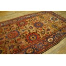 Late 19th Century Persian Bakhtiari Gallery Carpet