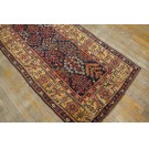 Mid 19th Century W. Persian Kurdish Shrub Runner Carpet 