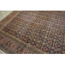 Mid 19th Century N.E. Persian Herat Carpet