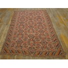 Kilim - Senneh #25046