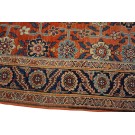 Bijar Rug