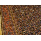 N.W. Persian #40-3957