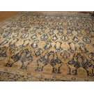 Early 20th Century N. Indian Amritsar Carpet with Dragon Design