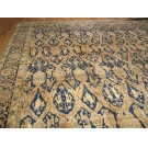 Early 20th Century N. Indian Amritsar Carpet with Dragon Design