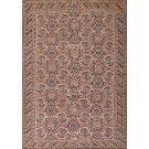 Kilim - Senneh #25046