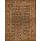 Mid 19th Century N.E. Persian Khorassan Moud Carpet