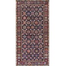 Mid 19th Century N.W. Persian Carpet