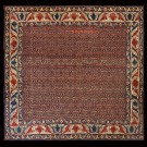 19th Century W. Persian Senneh Carpet