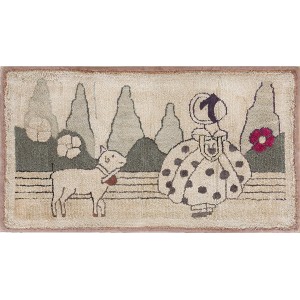 American Hooked Rug #19227