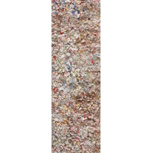 American Rag Rug #20606