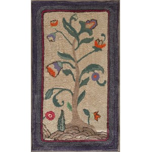 American Hooked Rug #6752